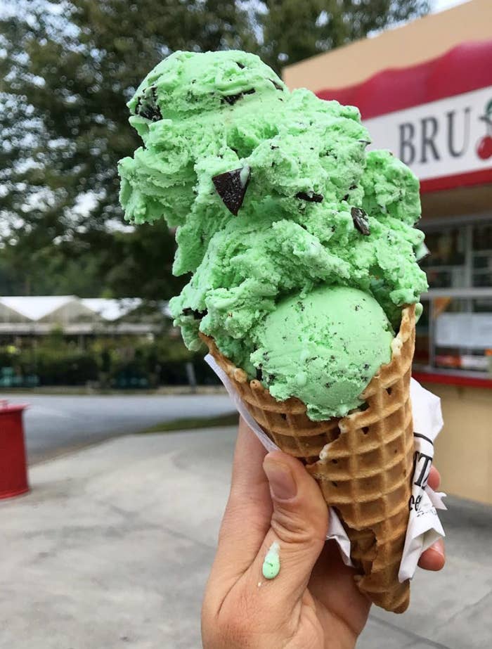 Best Mint Chip Ice Cream We Taste Tested
