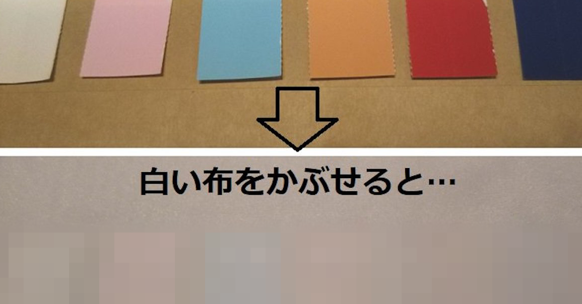 白の下着は透けない って本当 下着屋さんが言わずにはいられなかったこと