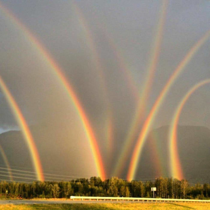 a bunch of rainbows
