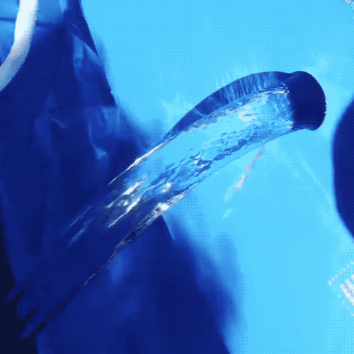 anigif_sub-buzz-31005-1535195167-1.gif