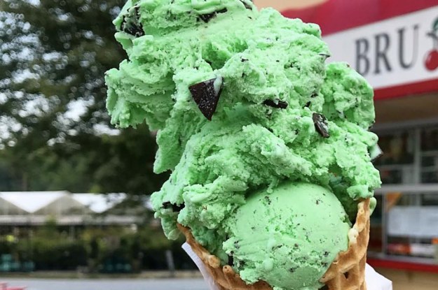 I'm Sorry To Tell You That Mint Chocolate Chip Ice Cream Is Gross