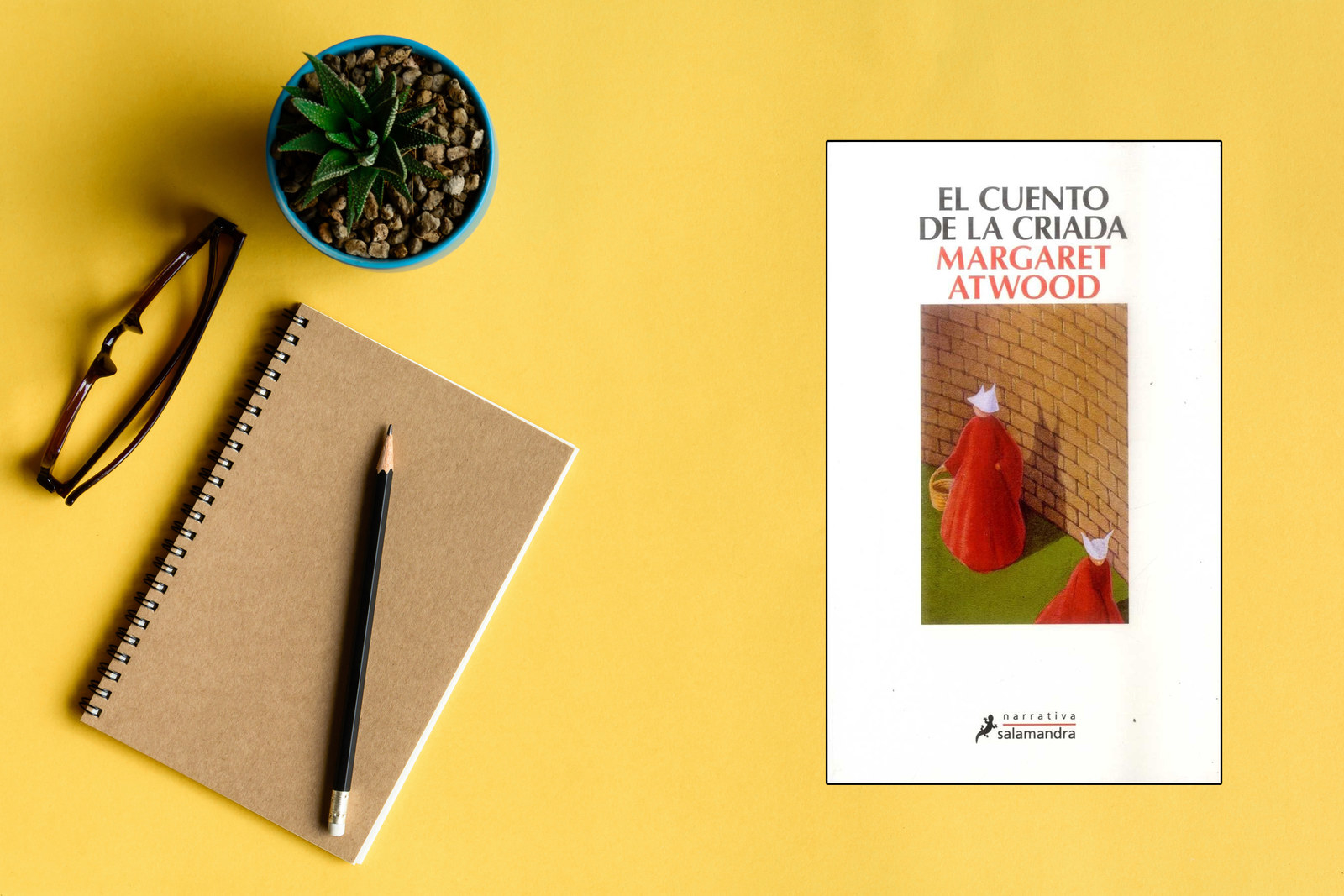 ¿Por qué leerlo?En un futuro distópico, los derechos de las mujeres han sido totalmente suprimidos; sus cuerpos solamente sirven para procrear o para trabajo pesado, pero no pueden leer, opinar, ni tener las vidas que tenían antes de la dictadura. Esta novela te va a poner los pelos de punta, pero también te va a hacer notar muchas similitudes con nuestra sociedad actual.