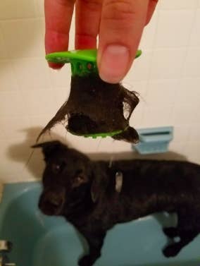 reviewer pic of tubshroom that caught a bunch of dog fur in a bath
