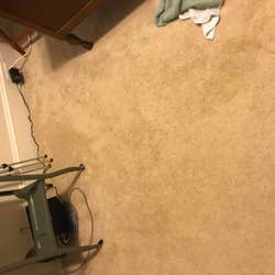The carpet with the stain almost entirely gone