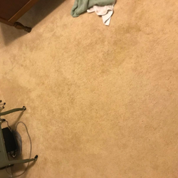 The carpet with the stain barely noticeable