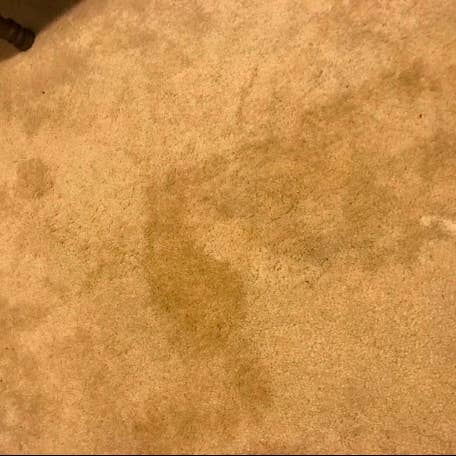 A carpet with a large dark spot stain