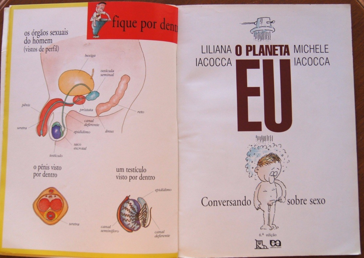 No livro, você vai encontrar diferenças ilustradas entre meninos e meninas, mudanças que ocorrem na puberdade, como são gerados os bebês e como cuidar de sua saúde.