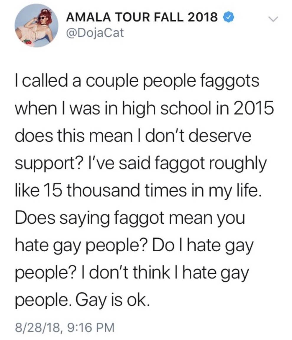 Doja Cat A Heavily Meme D Musician Tweeted About Using The Word Faggot In High School