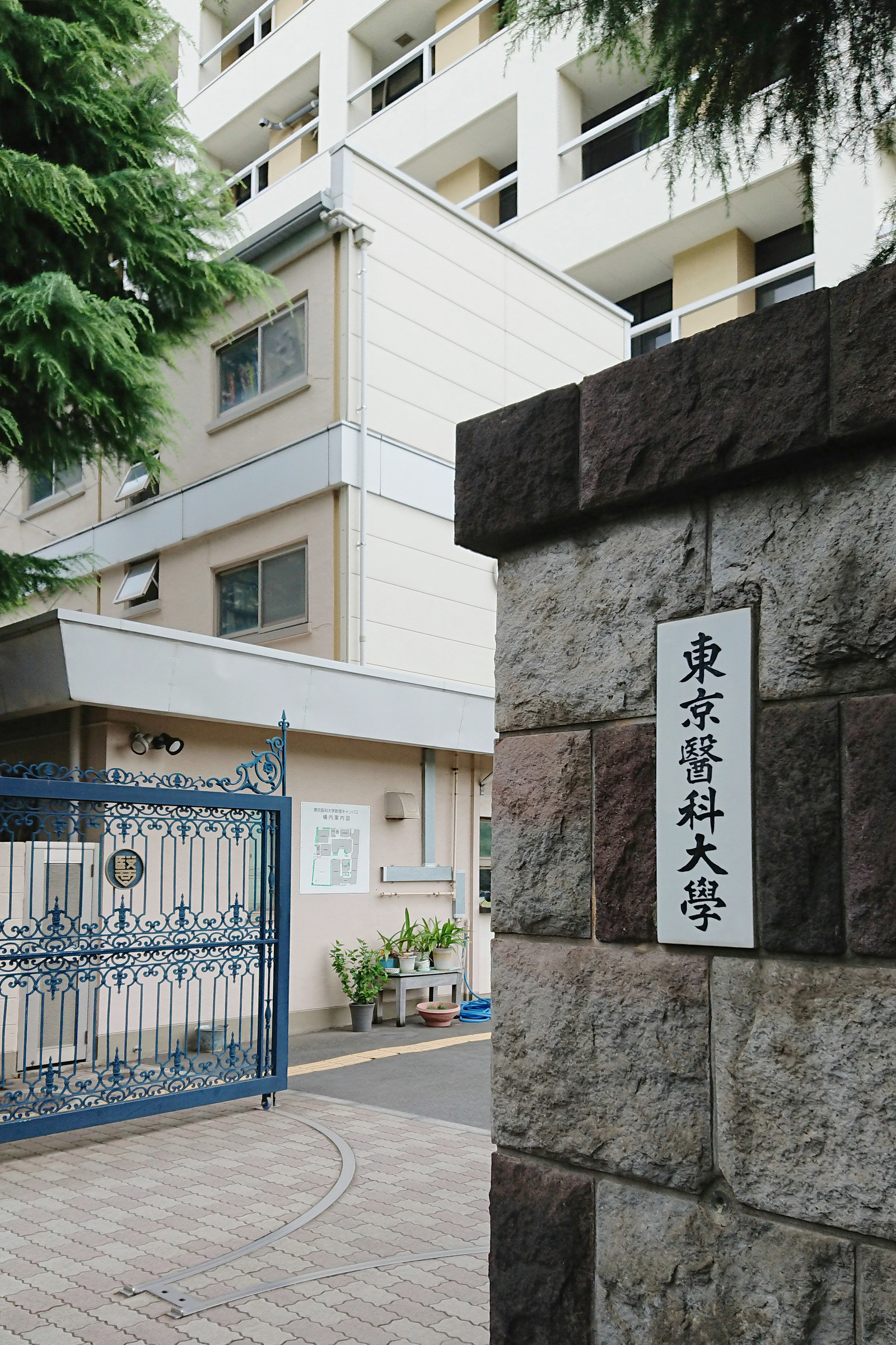 東京医科大学