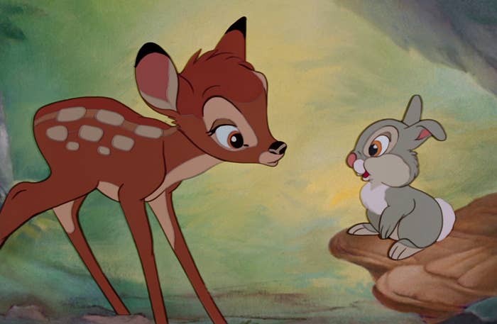 Thumper Is Missing A Tooth As A Baby And OMG How Did I Miss This?!