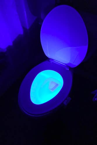 A reviewer photo of a toilet in the dark with the bowl lit up in blue