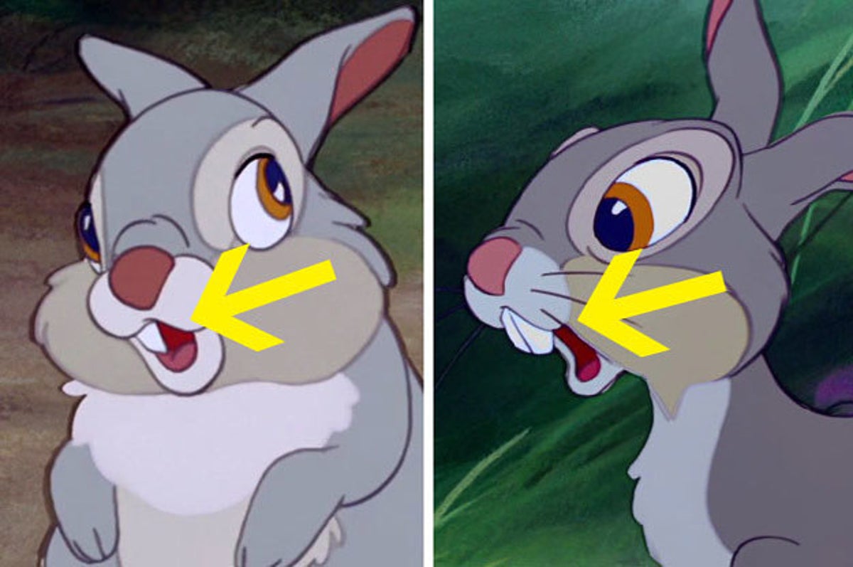 Thumper Is Missing A Tooth As A Baby And OMG How Did I Miss This?!
