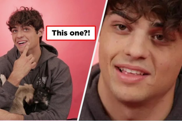 Here's How Your Boyfriend, Noah Centineo, Got His Scar On His Face