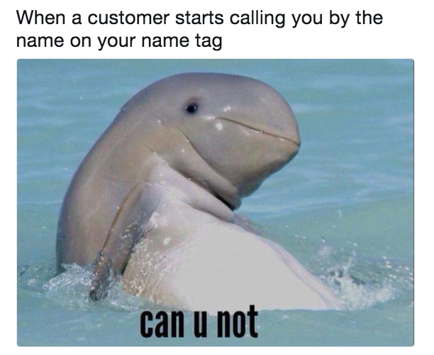 &quot;When a customer starts calling you by the name on your name tag,&quot; with photo of a vaguely smiling dolphin emerging from the water with the caption &quot;can u not&quot;