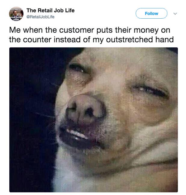 Close-up of little dog with scrunched-up eyes and bared teeth with caption, &quot;Me when the customer puts their money on the counter instead of my outstretched hand&quot;