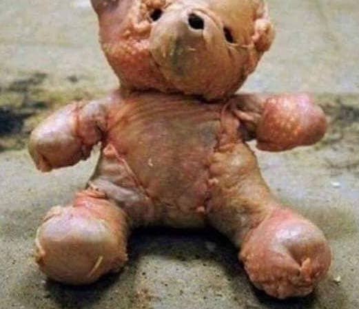 Chicken teddy bear deals