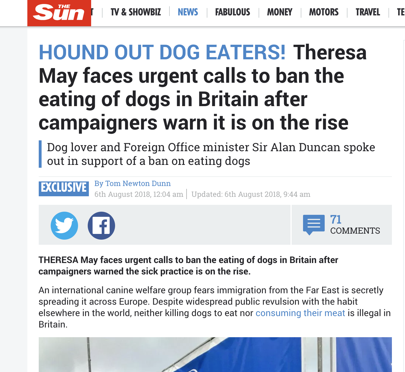 is it illegal to kill a dog uk