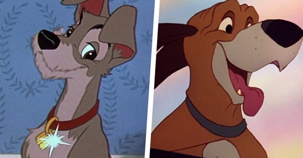 Which Disney Dog Are You Most Like Based On Your Random Preferences?