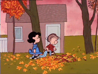 It's truly a time to celebrate! Kick up some leaves, spike those PSLs, and break out your jackets and scarves because autumn is right around the corner and I could not be happier.