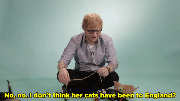 ES: No, no. I don't think her cats have been to England? Maybe they have...I don't know. I can't fly with my cats anyway 'cause they just don't really like moving anywhere. They're just home cats.