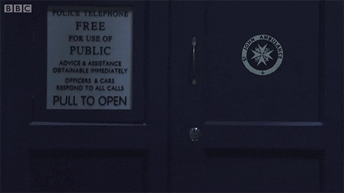 Yes, it travels through time and space, but it's also way bigger on the inside, so it would actually be a really efficient storage space.