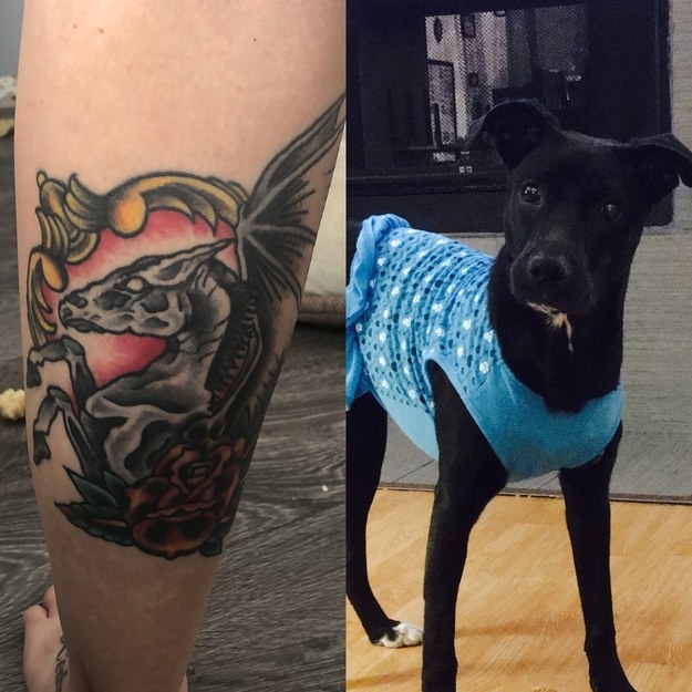 100 Dog Memorial Tattoos You Need To See  YouTube