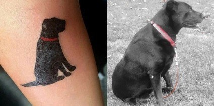 "I got this tattoo one year to the day after having to put my dog down. She was 15 and my childhood pet. Miss you, Molly." —nicoleb4303a2e01