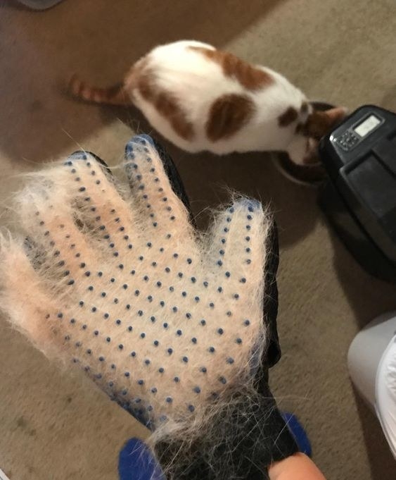 iGadgitz Home Pet Grooming Glove Deshedding Brush Pet Hair Remover Mitt for Dog Cat Puppy Kitten