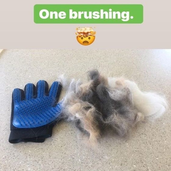 If Your Pet Won T Stop Shedding You Need This 14 Grooming Brush