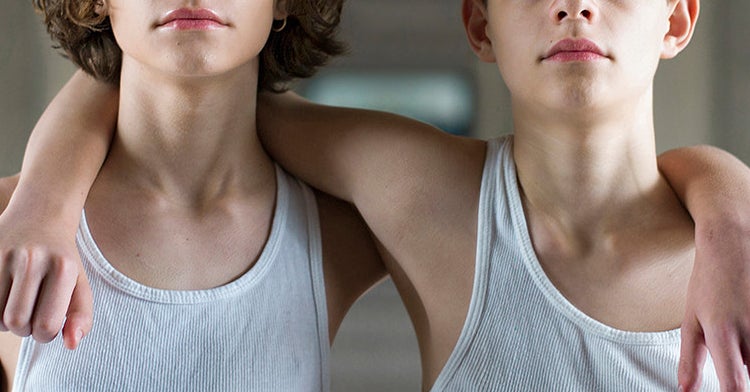 Essay identical twin image