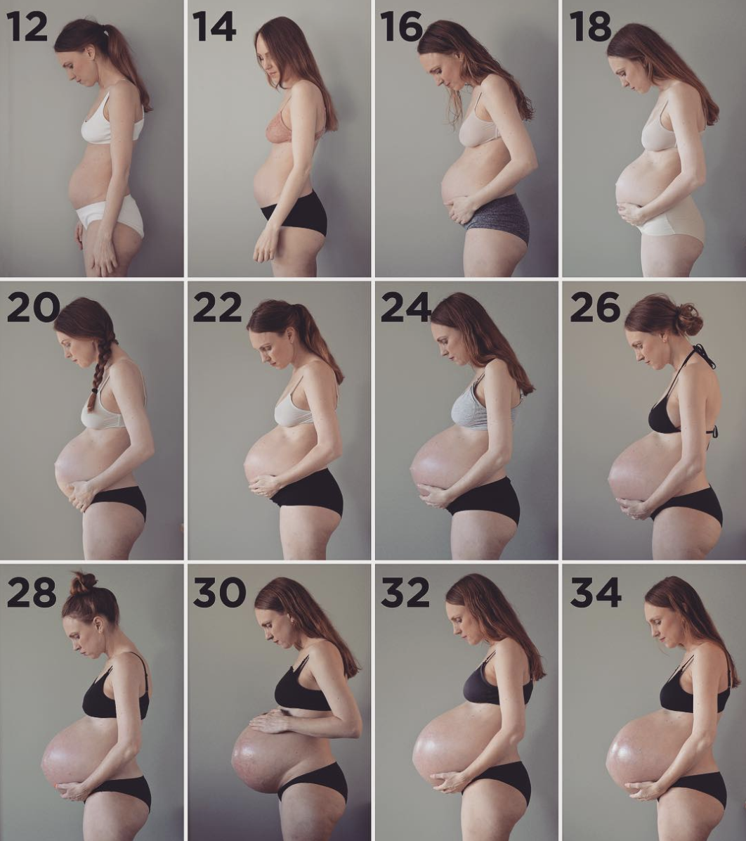 Baby Bump – Week by Week