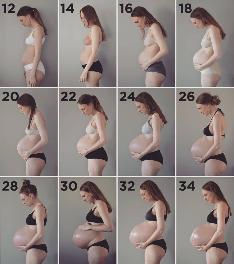 Naked Pregnant Belly Progress - pregnantbelly