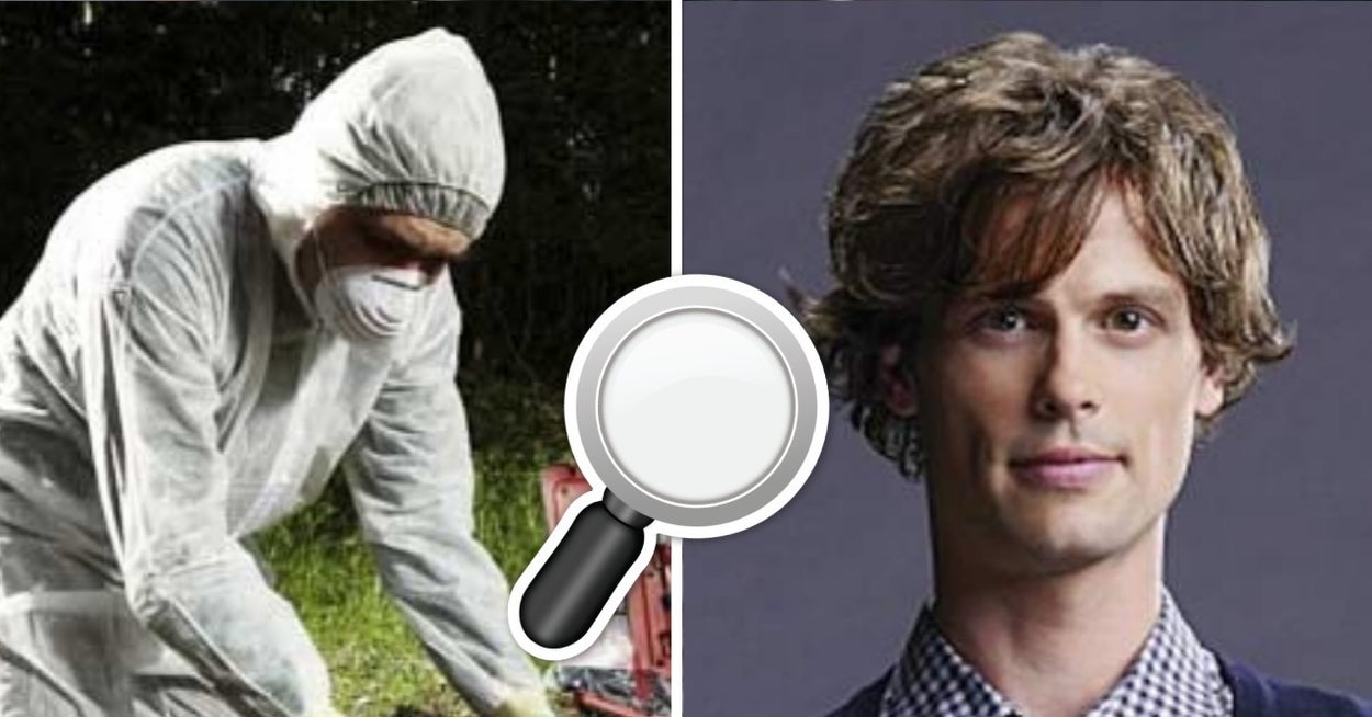 Which "Criminal Minds" Character Are You Based On How You Solve This Crime? Which "Criminal Minds" Character Are You Based On How You Solve This Crime?