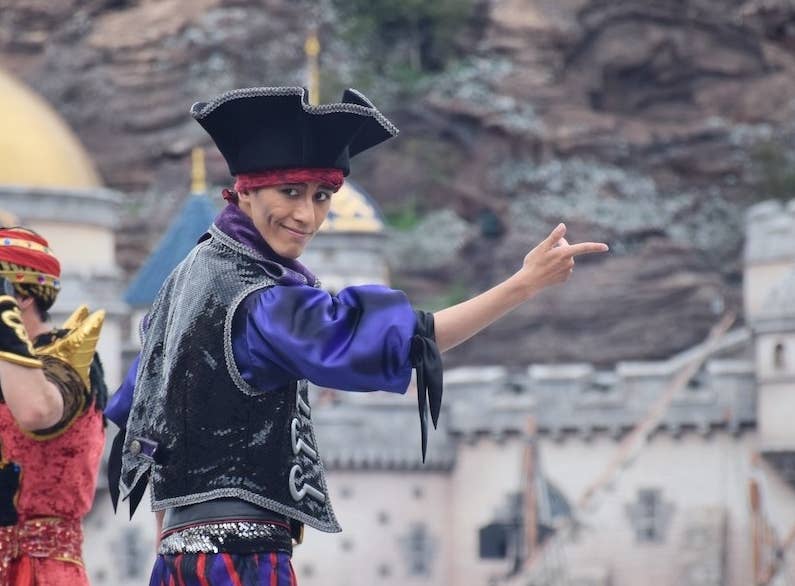 ディズニーシーのショーは見ちゃだめだ 絶対に ディズニーシーのショーは見ちゃだめだ 絶対に