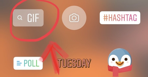 Here S How To Post Gifs On Instagram