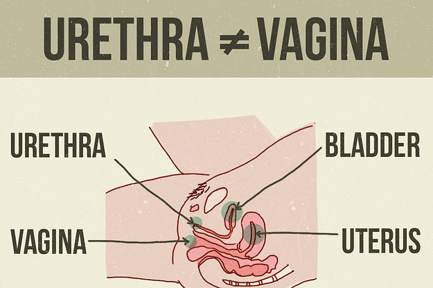 31 Things You Should Definitely Know About Pee