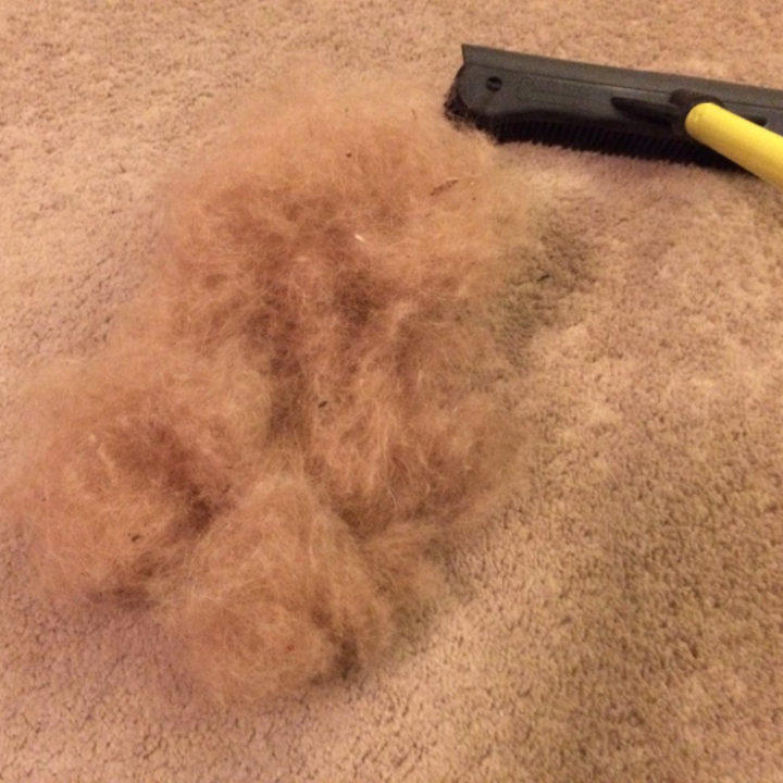 21 Cleaning Products That Have Over 1,000 5Star Ratings On Amazon