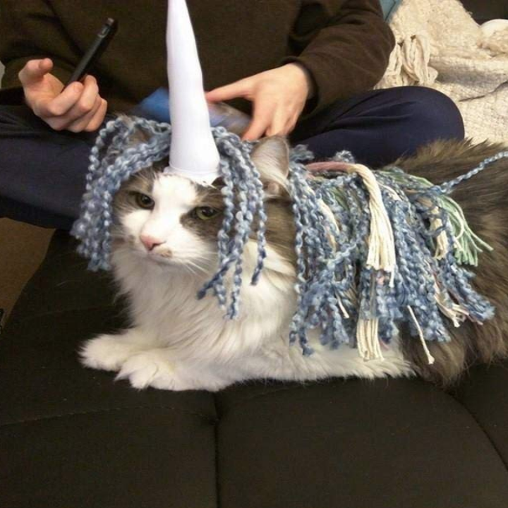 22 Magical Items For Unicorn Lovers