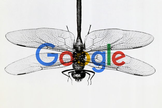Image result for project dragonfly