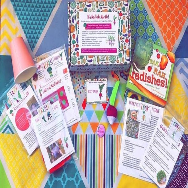 Veggie buds box with a planter, children's book, craft supplies, and other featured items outside of the box
