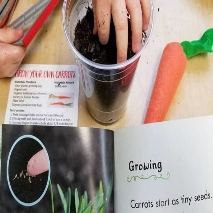 A child's hand reaching into a cup of dirt to plant carrot seeds