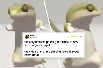 This Dancing Lizard Has Brought Great Wisdom And Happiness To The Masses.  Rejoice.