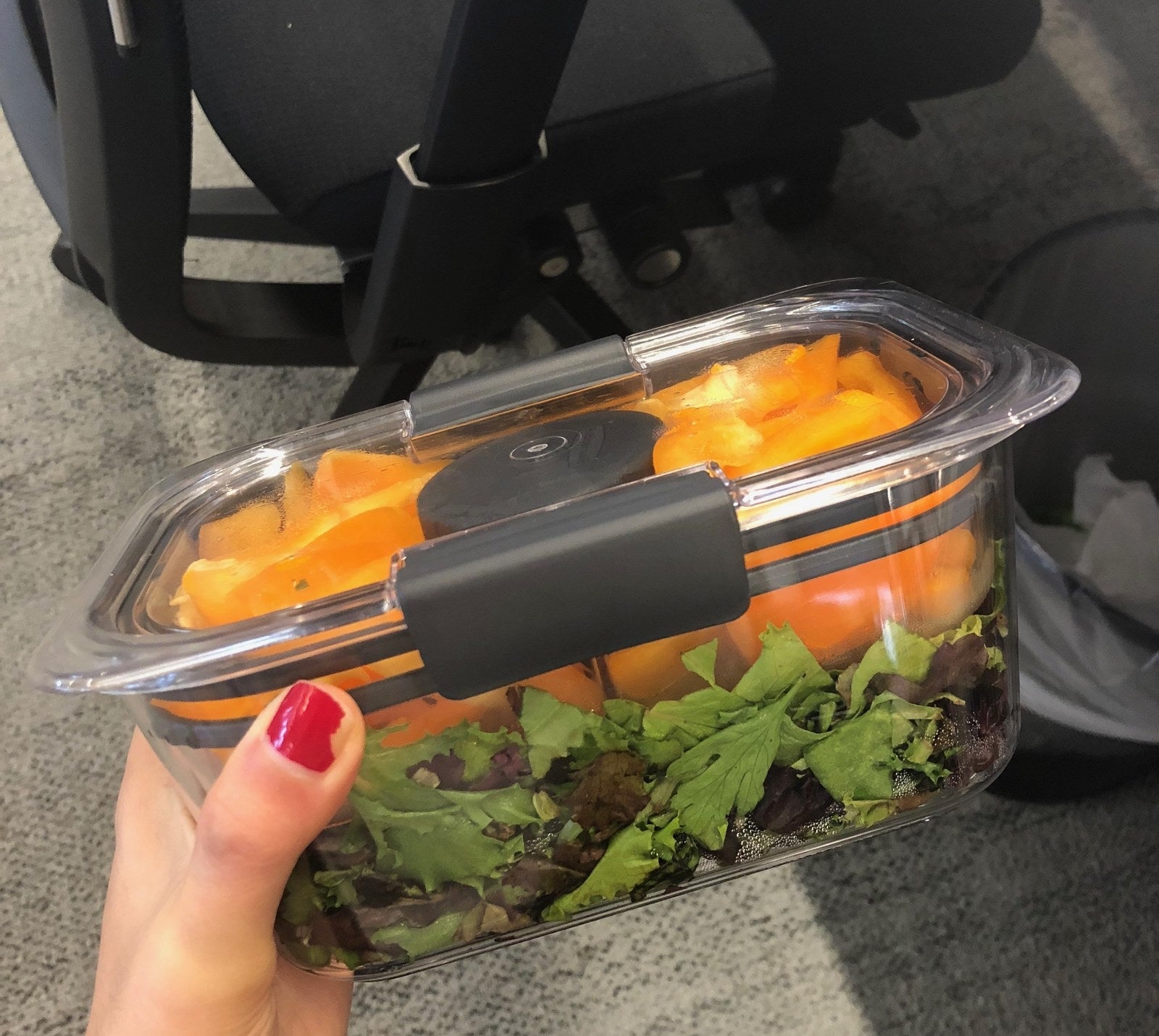These Leak-Proof Plastic Containers Are Truly The Best For Packing