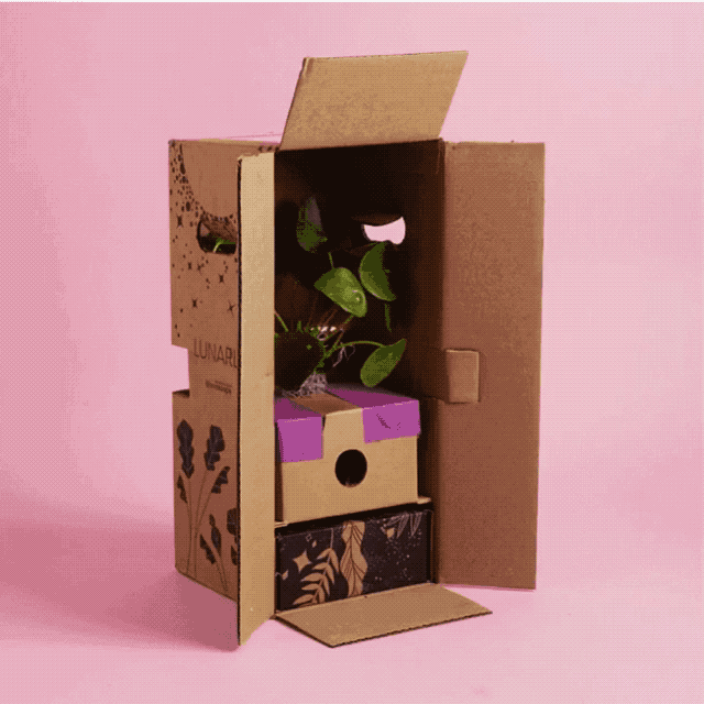 What you get: specially-curated plants, wellness products, tools for mindfulness, crystals, and more! And FYI, every third month of the year (i.e. this upcoming box) features a candle instead of a plant.Promising review: "Shipping was quick and the packaging is adorable! My plant arrived safe, and the goodies inside were awesome." —Vanessa CooperGet it from Bloomscape starting at $40 a month, or $110 for three months.