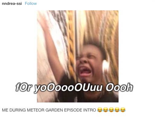 44 Hilarious Tumblr Posts About Meteor Garden On Netflix