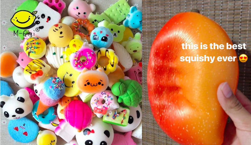 What's inside EXPENSIVE vs CHEAP SQUISHY Toys? 