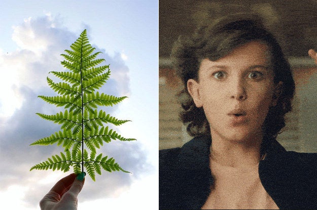 16 Facts About Nature That'll Make You Say “Sounds Fake, But OK”