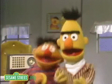 kaws sesame street bert and ernie