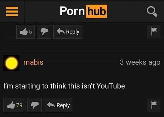 700px x 499px - 21 Pornhub Comments You Really Just Need To See For Yourself