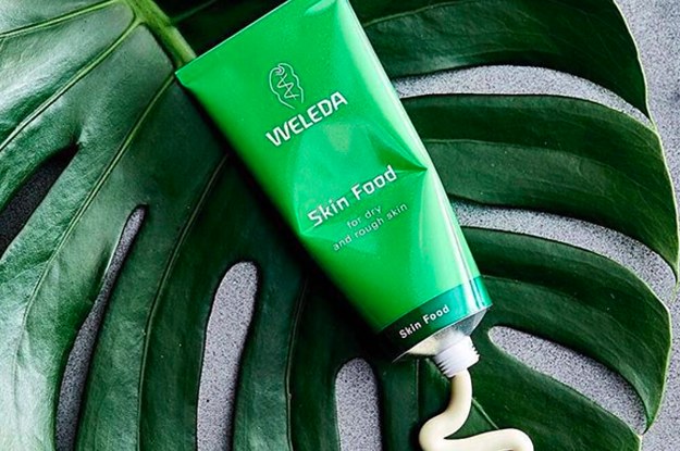 plant based moisturizer